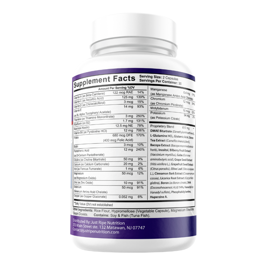 Synaptic XR - Core Focus Dietary Supplement (6 Pack)